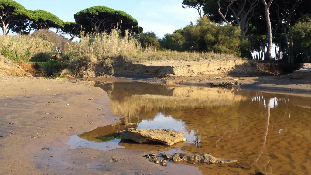 I fossi e lo stagno di Baratti (Piombino - LI)